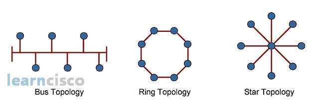 Network Topologies | Functions of Networking | ICND1 100-105