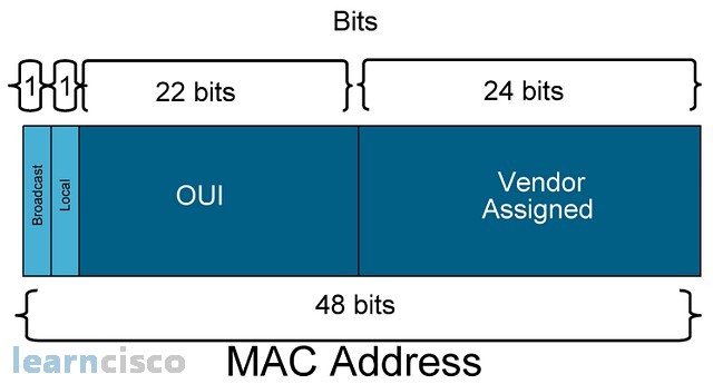 MAC Address Structure