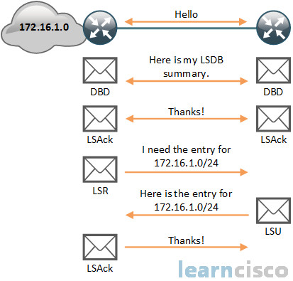 OSPF - Building a link-state database.