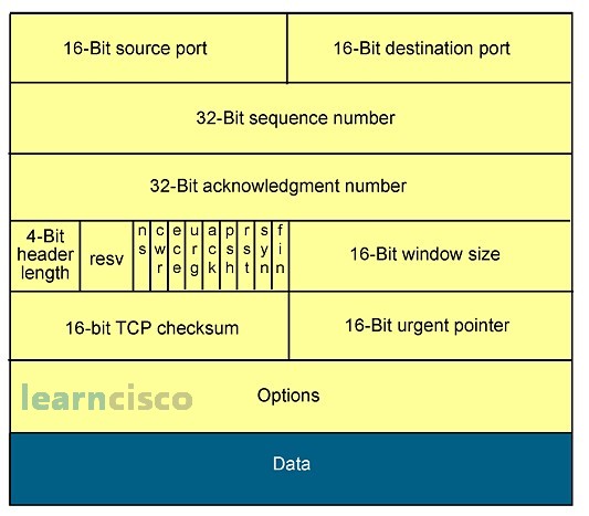 TCP vs UDP | TCP 3 Way Handshake | ICND1 100-105