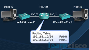 How do packet forwarding and path determination function on a router?