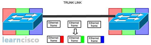 Trunk Link with Multiple Switches