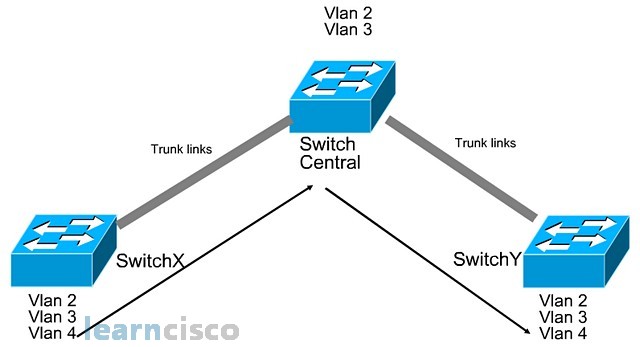 Trunk Link and Native VLANs