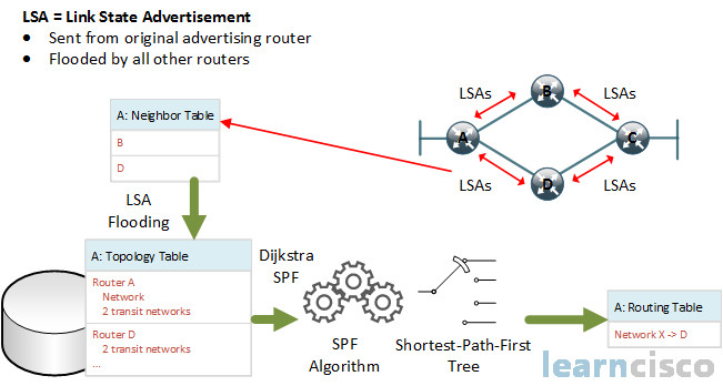 Link-state Routing Protocol Data Structures